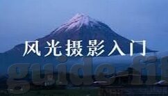世界杯 法格纳-世界杯的法格纳，足球与音乐的交响曲